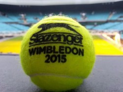 febbre-wimbledon