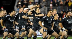 milan-haka-