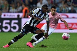 palermo-udinese probabili formazioni