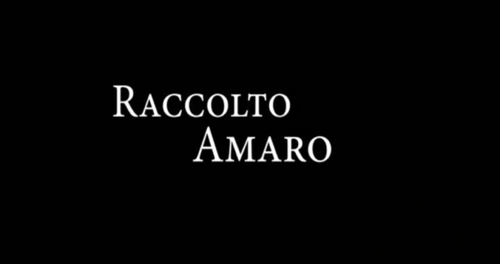 Raccolto amaro: trama, cast completo e curiosità del film al cinema