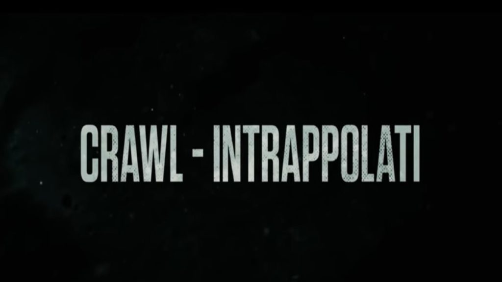 Crawl - Intrappolati: trama, cast e anticipazioni del film al cinema