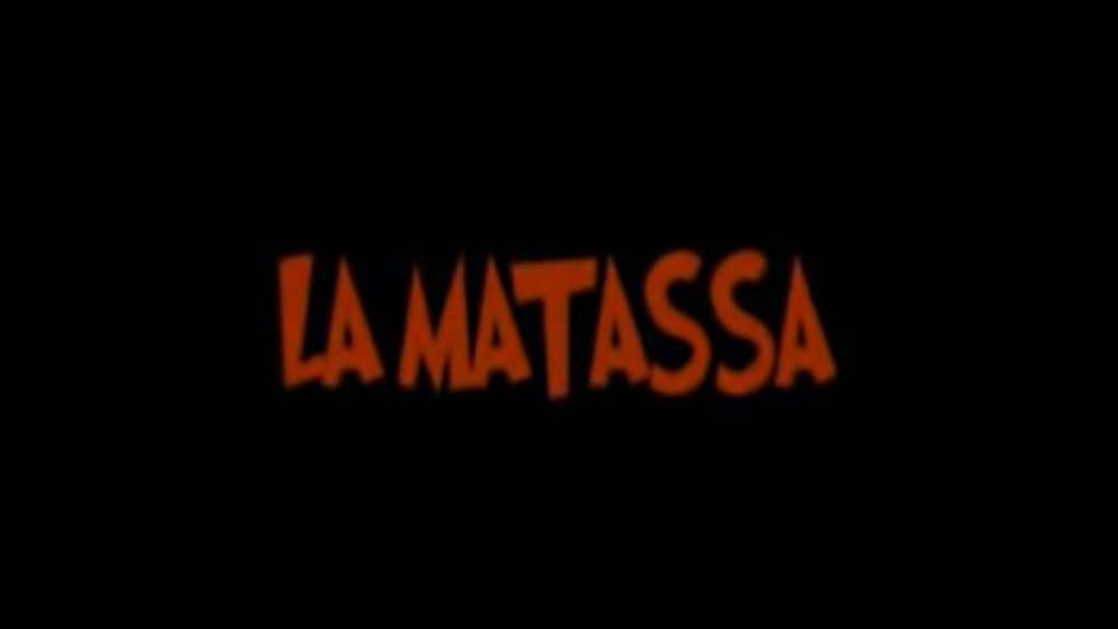 La Matassa: trama, cast e anticipazioni del film stasera in tv Canale 5