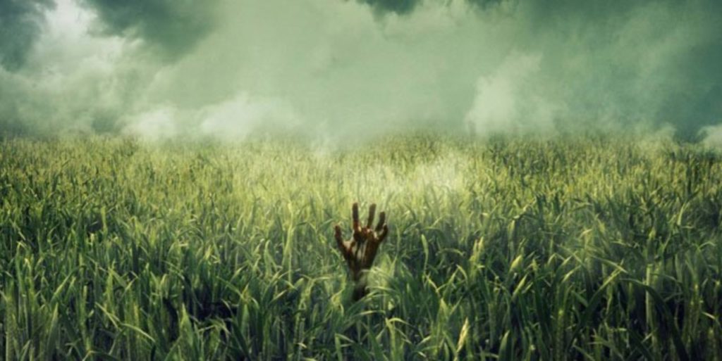 Nell'Erba alta trama, cast e anticipazioni film. Quando esce