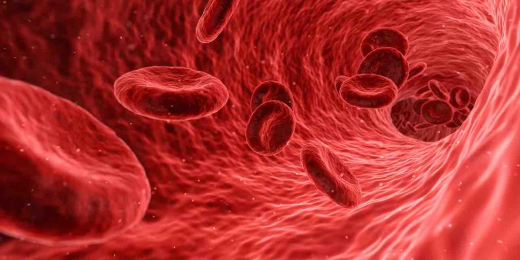 globuli rossi nel sangue