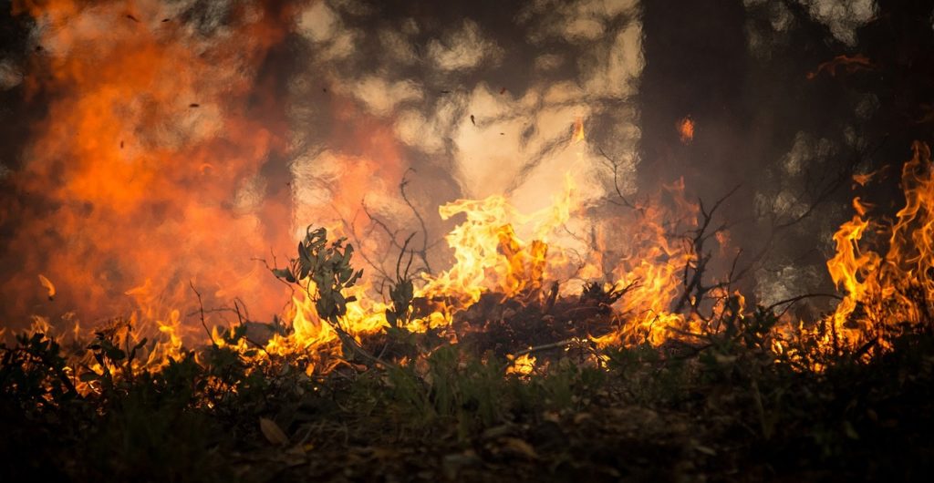 Incendi California 2019 allarme rosso