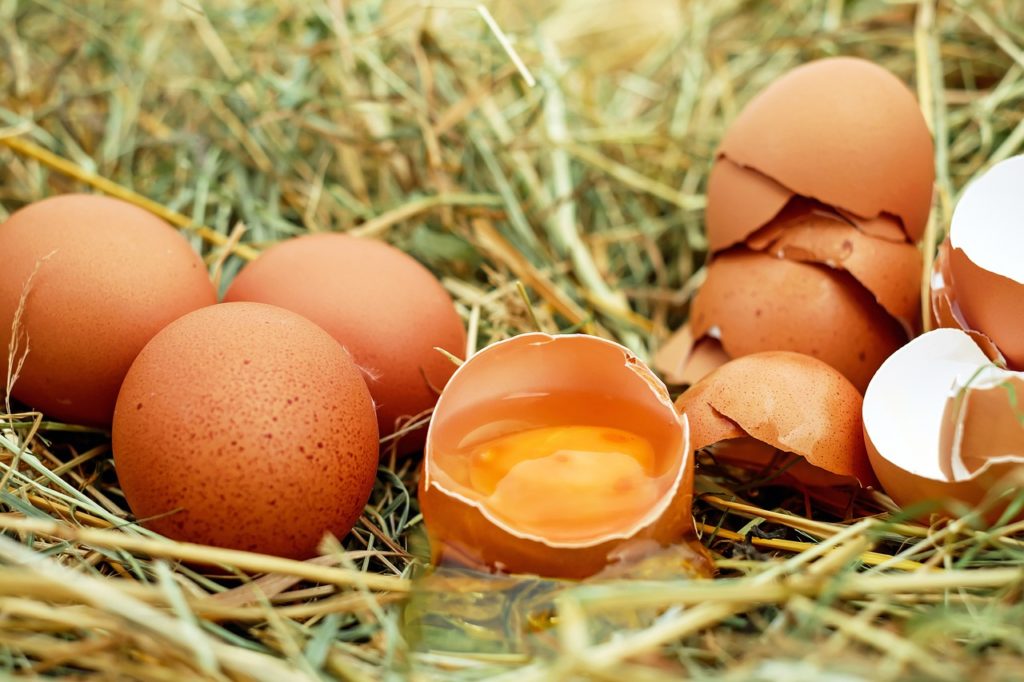 Salmonella uova Italia