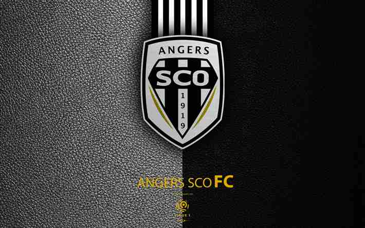 La sorpresa Angers la squadra che sta incantando tutti in Ligue 1